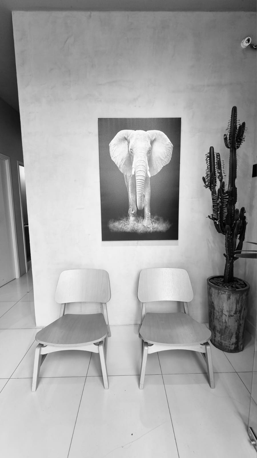 Imagem do WhatsApp de 2023-11-01 à(s) 16.40.03_5ba02609.jpg